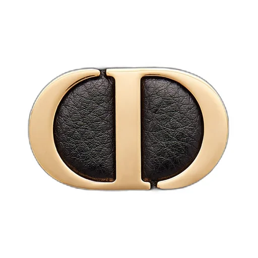 Large Dior Caro Daily Pouch