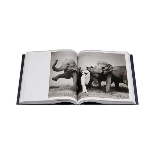 Book: Dior By Avedon