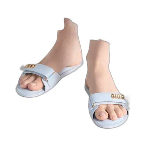 Dior Lucky Dioract Slide