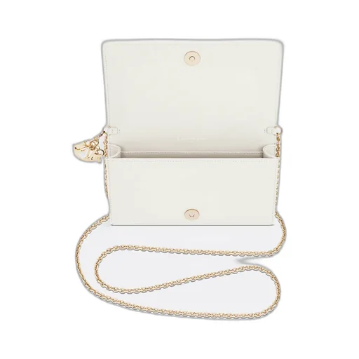 Lady Dior Pouch With Chain