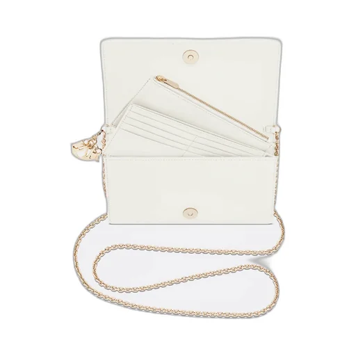 Lady Dior Pouch With Chain