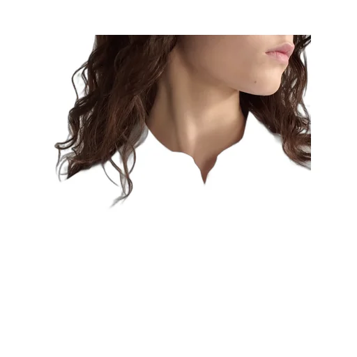 Blouse With Plastron