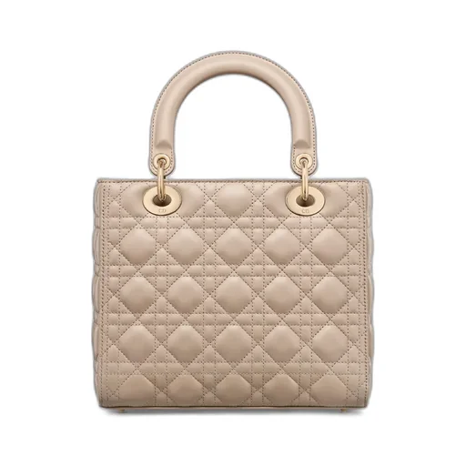 Medium Lady Dior Bag