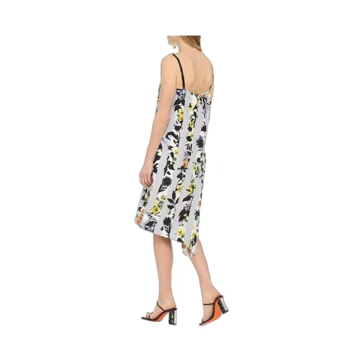 Off-White Striped Floral Print Dress