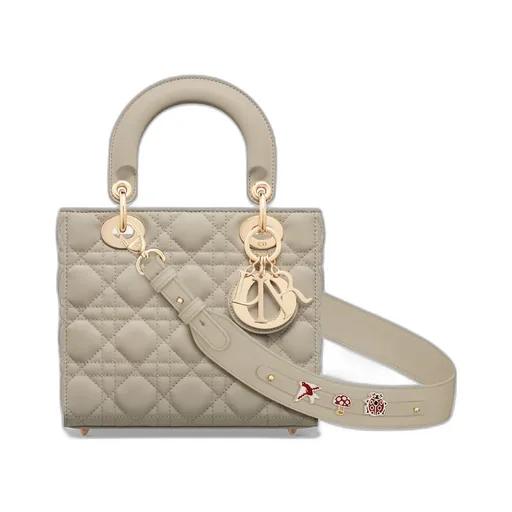 Small Lady Dior My Abcdior Bag