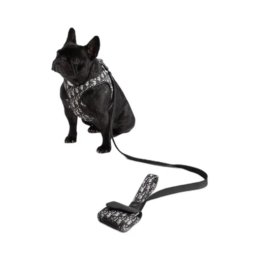 Pet Leash