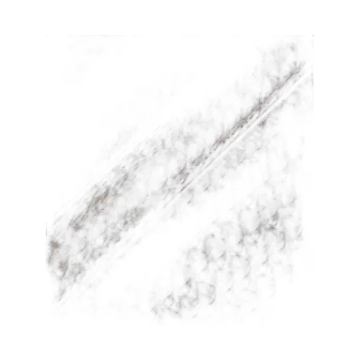 Dior Oblique Stole