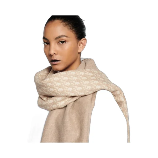 Dior Oblique Scarf
