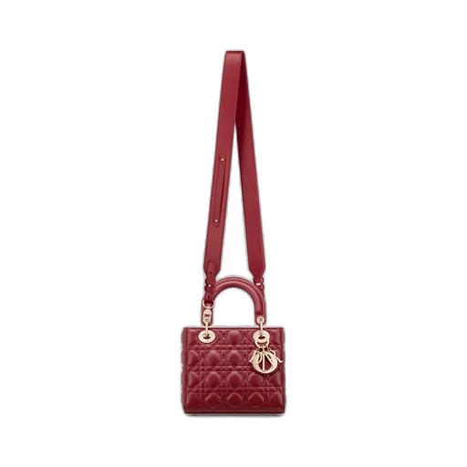 Small Lady Dior My Abcdior Bag