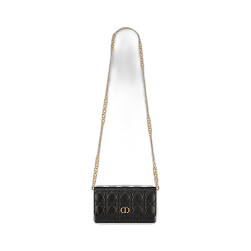Dior Caro Pouch With Chain