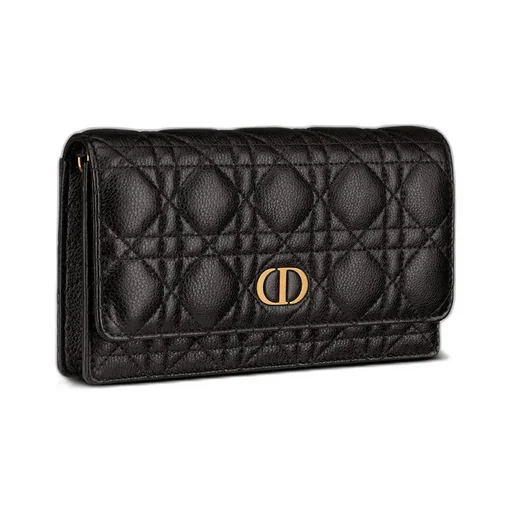 Dior Caro Pouch With Chain