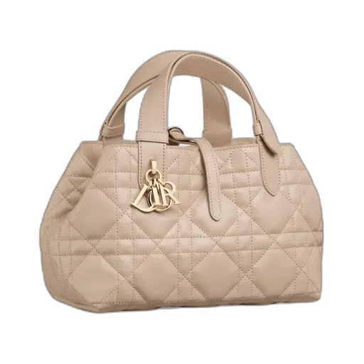 Small Dior Toujours Bag