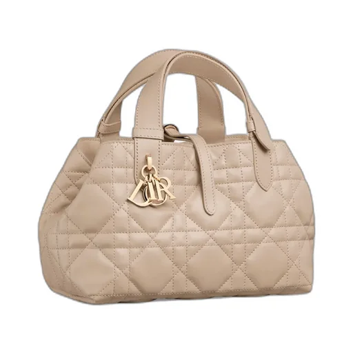 Small Dior Toujours Bag