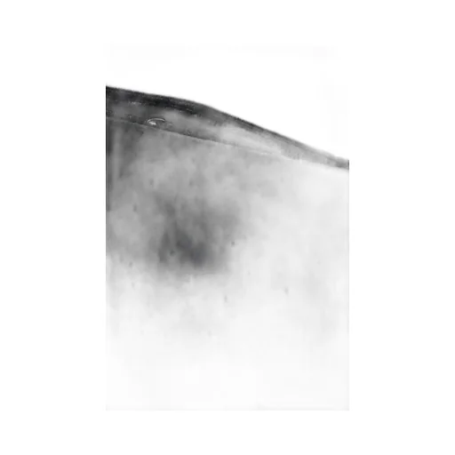 Neous Ara Velvet Clutch Bag