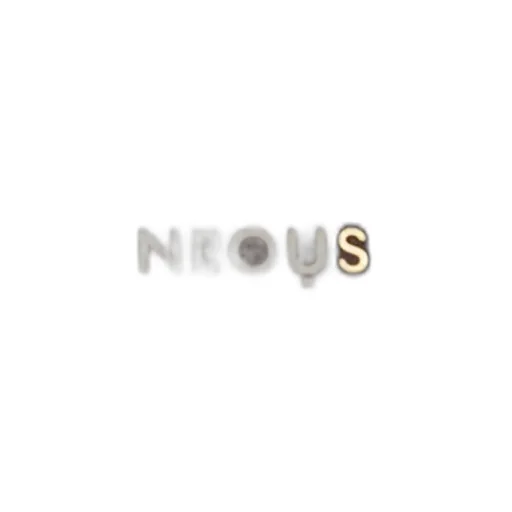 Neous Pavo West Chain Shoulder Bag