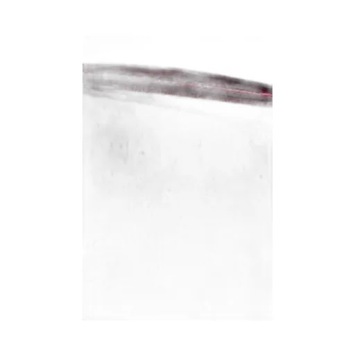 Neous Ara Velvet Clutch Bag