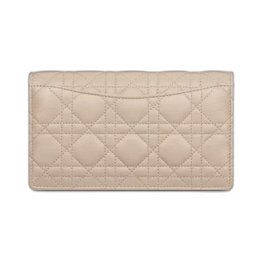 Dior Caro Pouch With Chain