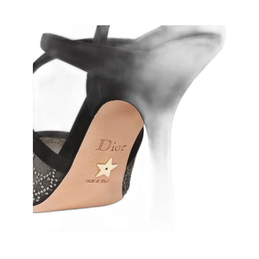 Dior Capture Pump