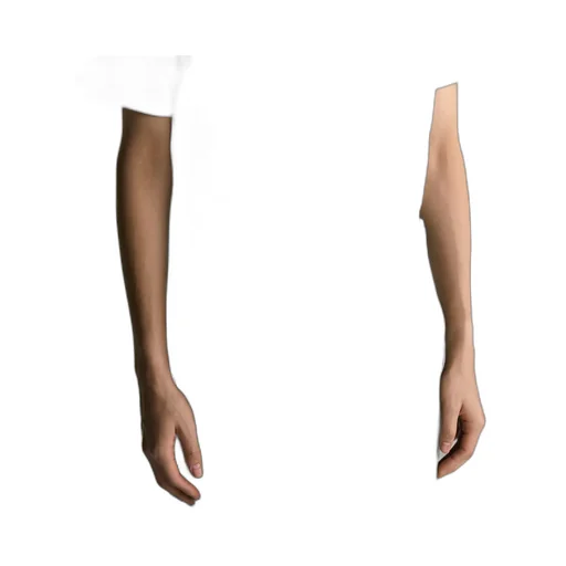 Reversible Belt Strap