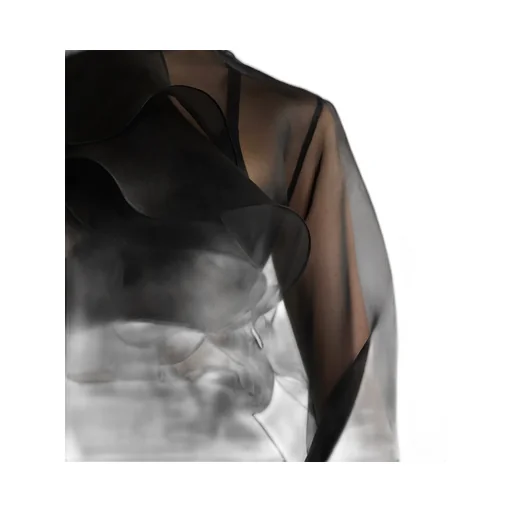 Blouse With Ruffled Neckline