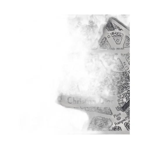 Plan De Paris Dior Diamond