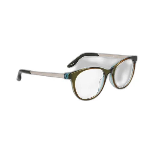 Nike Oval Frame Glasses
