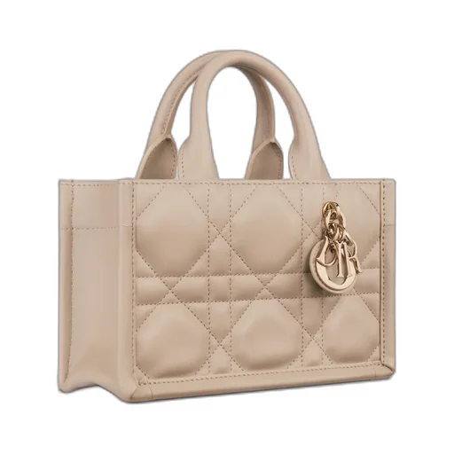 Mini Dior Book Tote