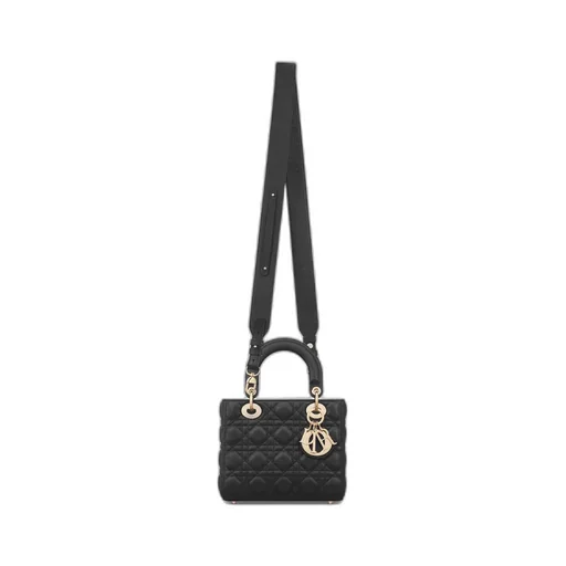 Small Lady Dior My Abcdior Bag