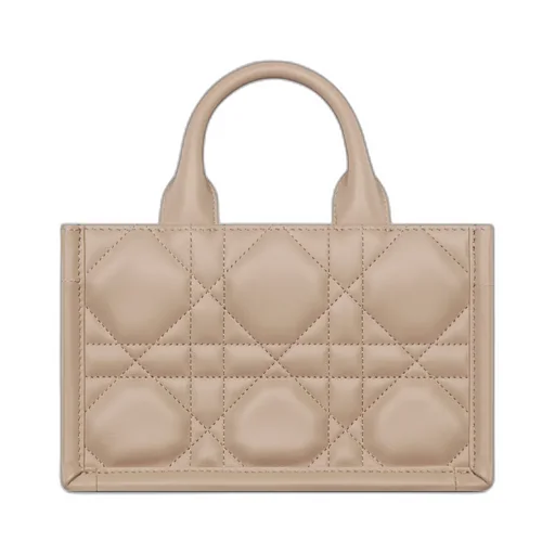 Mini Dior Book Tote