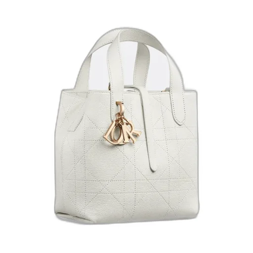 Small Dior Toujours Vertical Tote Bag