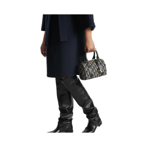 Dior Groove 20 Bag