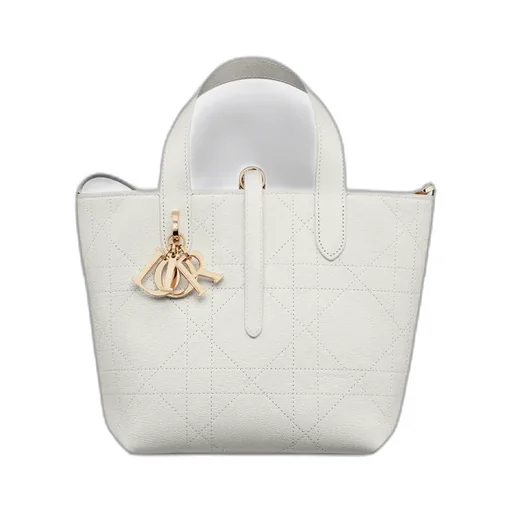 Small Dior Toujours Vertical Tote Bag