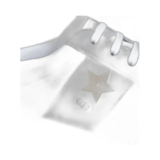 Dior Star Sneaker