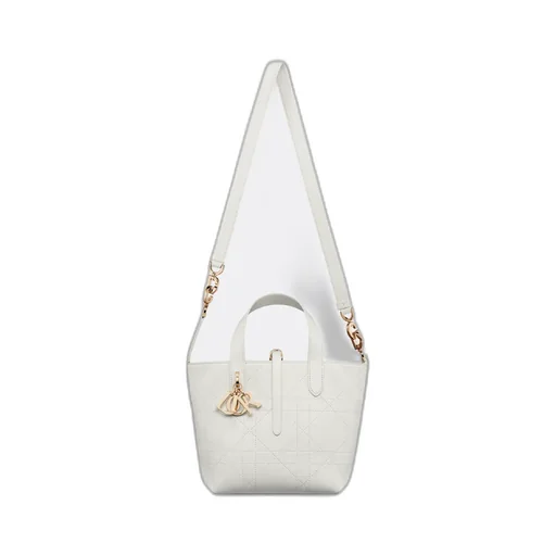 Small Dior Toujours Vertical Tote Bag