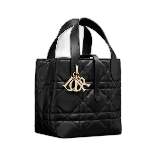 Small Dior Toujours Vertical Tote Bag
