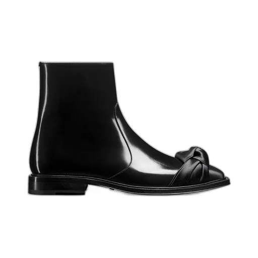 Dior PalmarÈS Zipped Ankle Boot