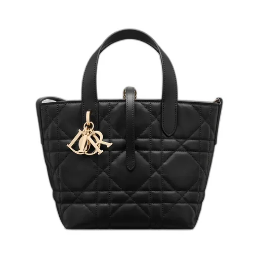 Small Dior Toujours Vertical Tote Bag