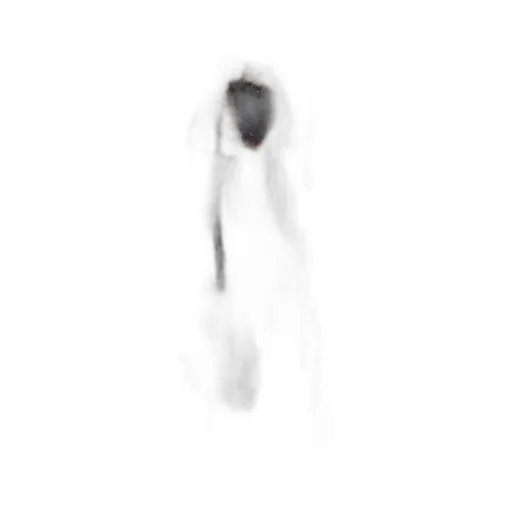 Nili Lotan Keyhole Neckline Tassel Blouse
