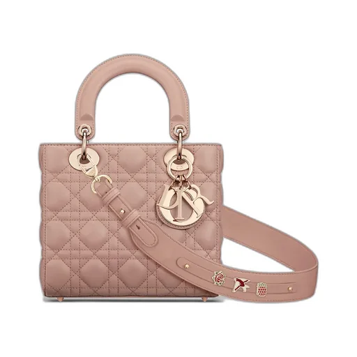 Small Lady Dior My Abcdior Bag
