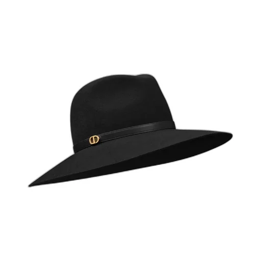 D-Muse Large-Brim Hat