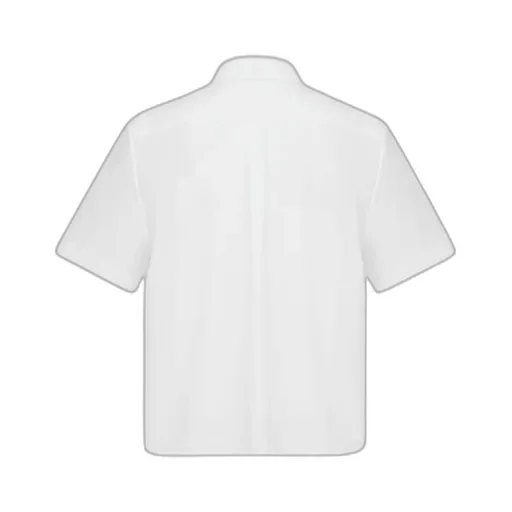 Cropped Button-Up Blouse