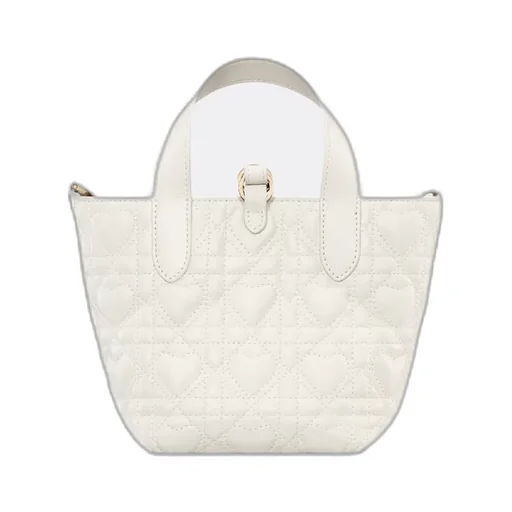 Dior Toujours Vertical Nano Tote Bag