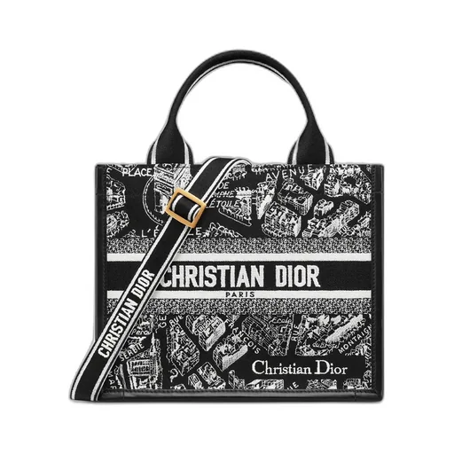 Small Dior Book Tote