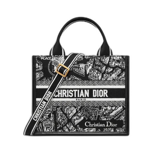 Small Dior Book Tote