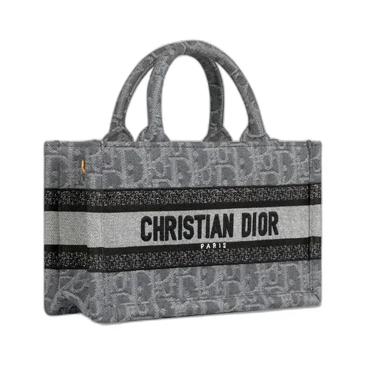 Mini Dior Book Tote