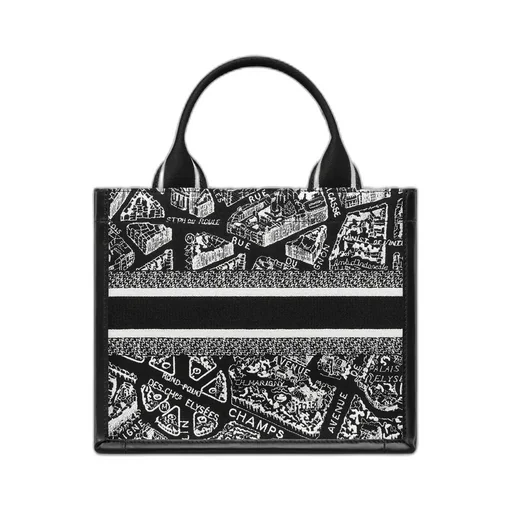 Small Dior Book Tote