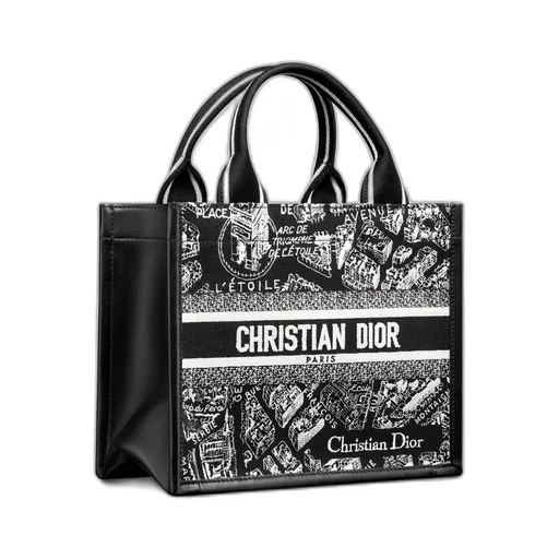 Small Dior Book Tote