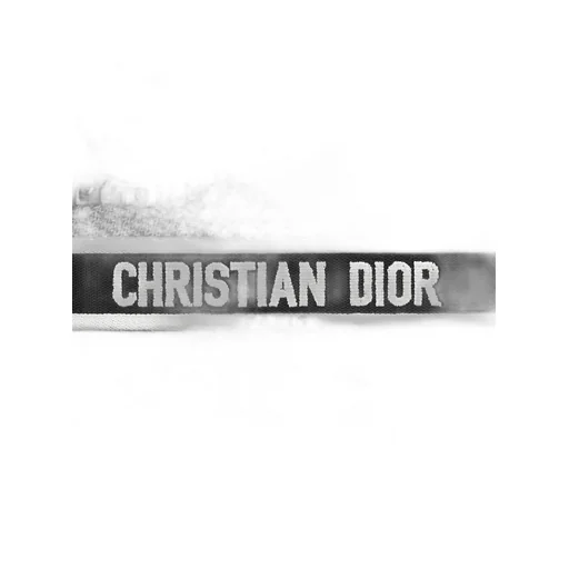Small Dior Book Tote