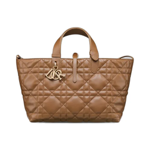 Medium Dior Toujours Bag