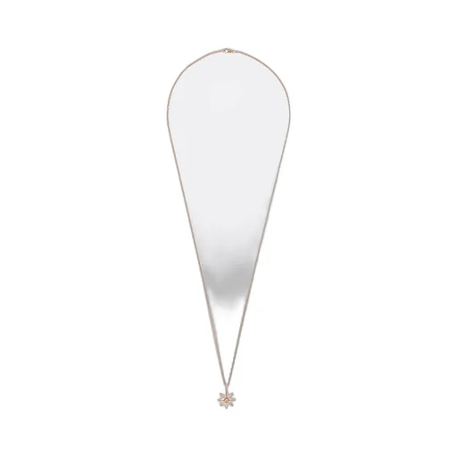 ÉToile Des Vents Medallion